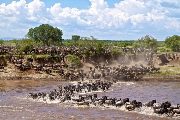 Great Migration & Zanzibar Beach