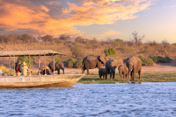 9-Day Kruger & Zimbabwe