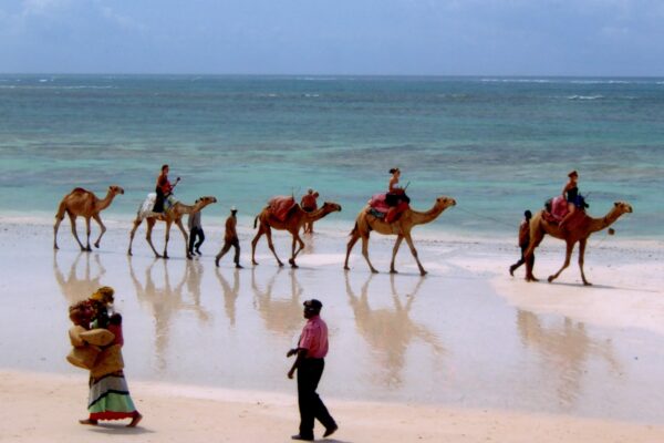 Masai Mara and Diani Beach