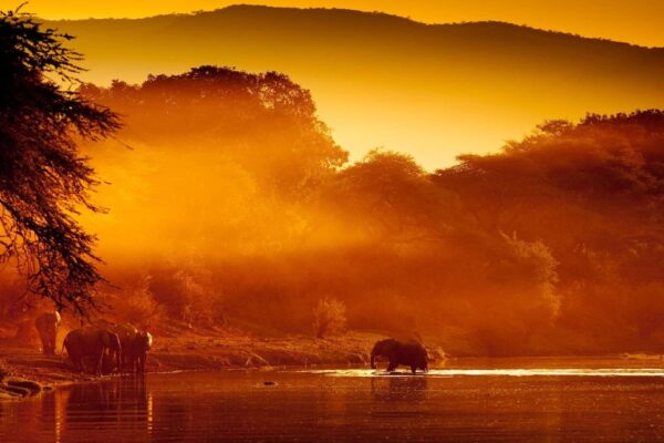 South Luangwa And Lower Zambezi