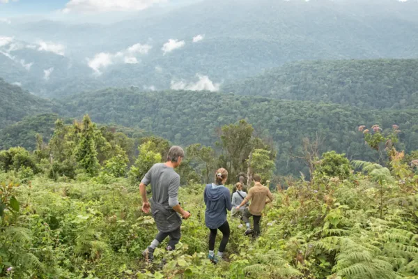 Tanzania & Uganda Safari