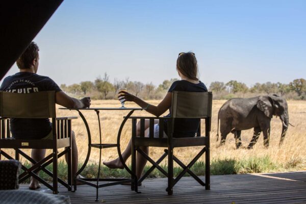 Botswana Honeymoon