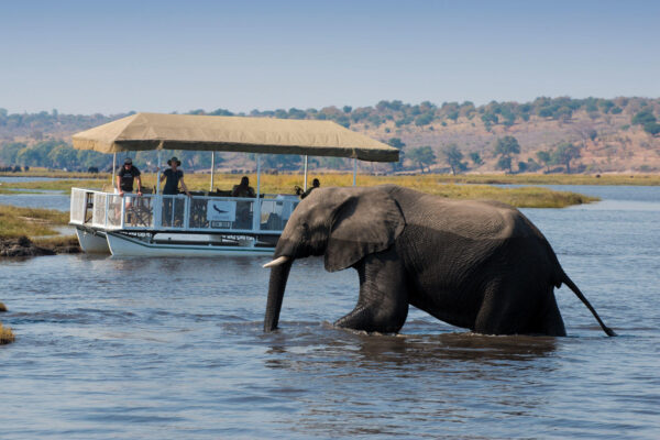 Botswana Safari 6-day