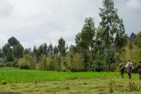Kenya and Rwanda safari