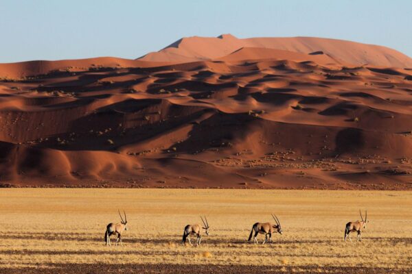 7-Day Namibia Itinerary