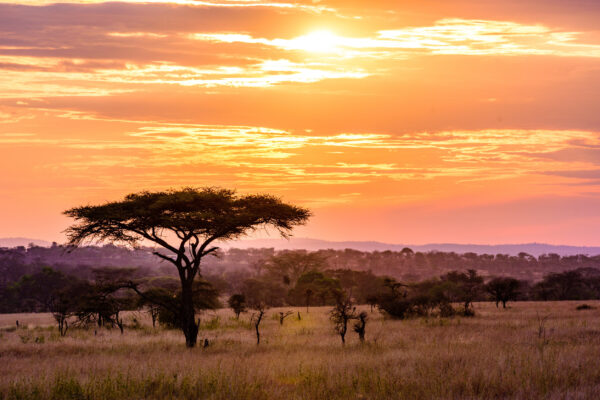 8-Day Kenya Family Safari 8-Day Kenya Family Safari