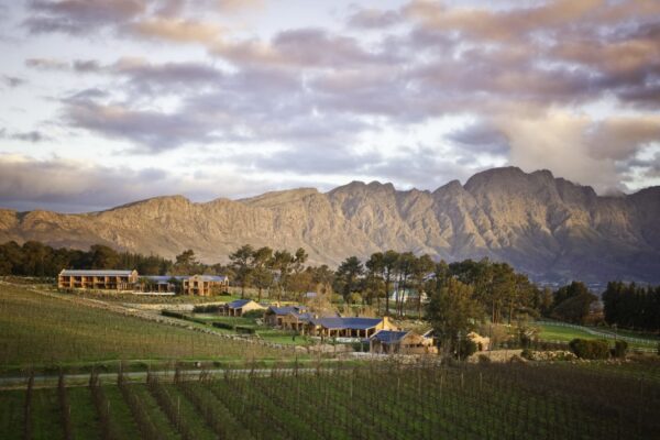Cape Town, Winelands & Kruger