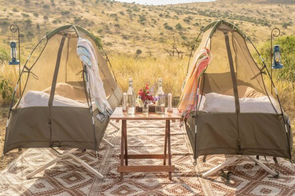 Lewa Plains Wildlife Lewa Plains Wildlife