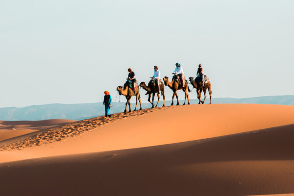 Marrakech And The Sahara