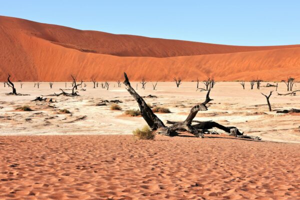 Sossusvlei, Damaraland & Etosha