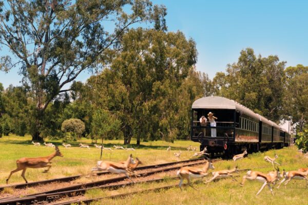 South Africa And Namibia Rail Journey
