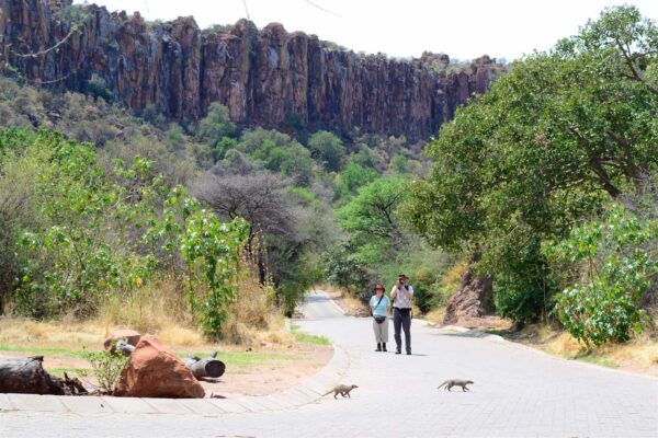 Waterberg Etosha & Damaraland