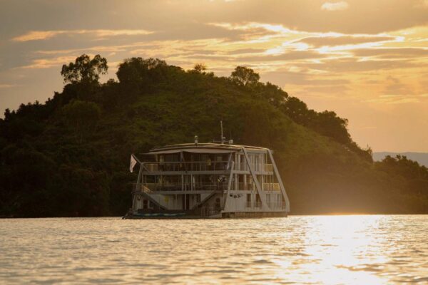 Gorillas, Chimpanzees & Lake Kivu Cruise