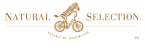 Natural Selection Camps & Lodges